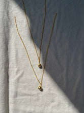 Load image into Gallery viewer, CRASPEDIA NECKLACE - Eleva the Label