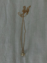 Load image into Gallery viewer, GORGONIAN NECKLACE
